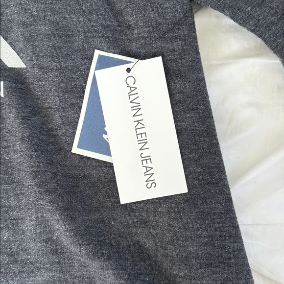 Calvin Klein Dark Gray Logo Hoodie - Picture 3 of 4